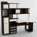 Стол компьютерный Tisa Mebli СК-220 АКМ