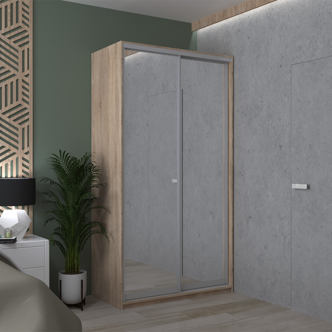 Шафа-купе Сіті Лайт 2 Дзеркала 120х60х225 Doros