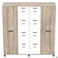 Шкаф Locker SIG - 605 - 1 (1850х550х1900мм) Черный графит / Вяз Либерти Дымчатый / Белый AMF