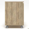 Тумба мобильная Delta DL - 403 (395х400х575) Блэквуд Ячменный AMF