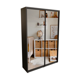 Шкаф - купе зеркало 2Дв 2000х600х2400 Прайм / Prime DC