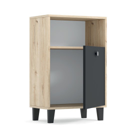 Тумба Тоня Київський Стандарт