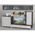 Гостиная Tisa Mebli 023