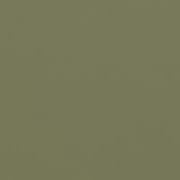 Насыщенная оливка