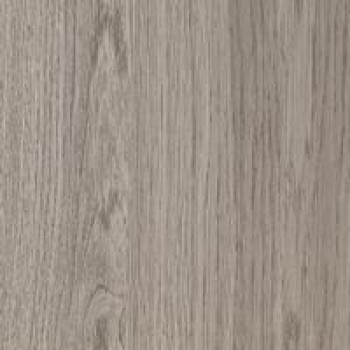 Венге Палермо