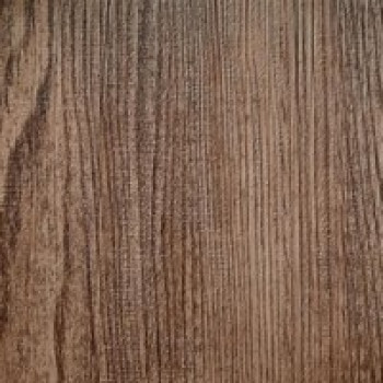 Карпатська ялина