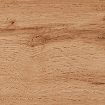 Дуб золотий