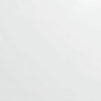 Нимфея альба