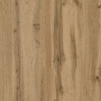 Дуб аппалачі