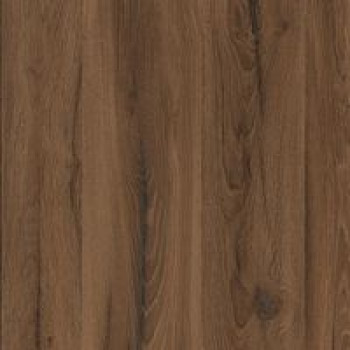 Дуб ліворно