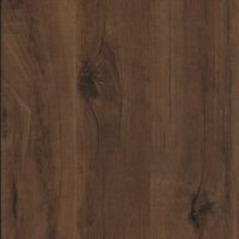 Горіх макадамія