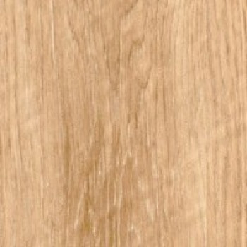 Дуб пісочний