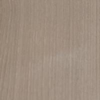 Платан светлый