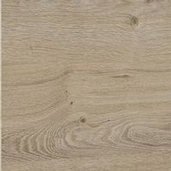 Дуб приморский сатиновый