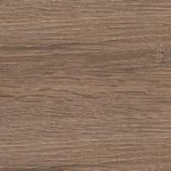 Дуб трюфель