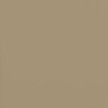 Серо-бежевый 1019