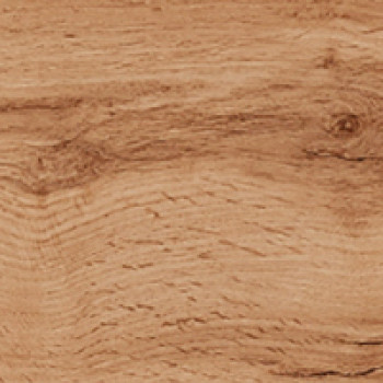 Дуб золотий