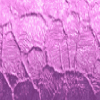 Структура фиолетовая +558 грн.