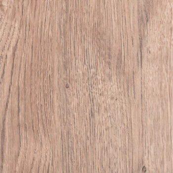 Дуб канадський