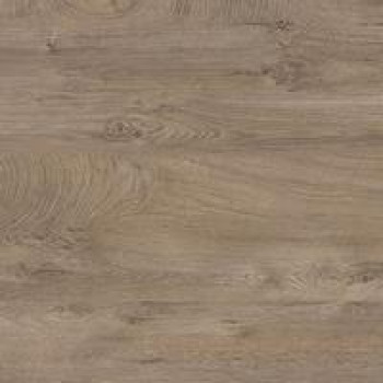 Дуб Энгрей необработанный