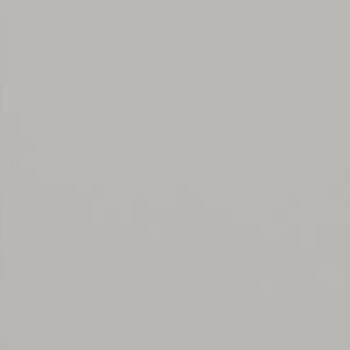 Светло-серый 7035