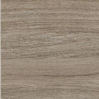 Дуб урбан ойстер