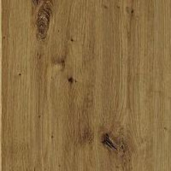 Дуб артизан