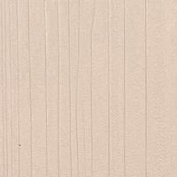 Клен бежевый