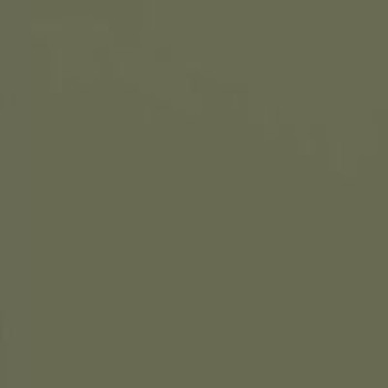 Оливково-зеленый 6003